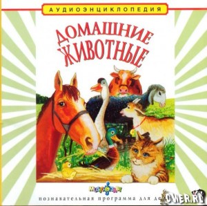 DomGiv
